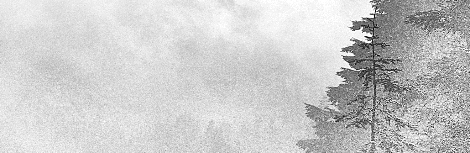 Qigong - LimitlessGate